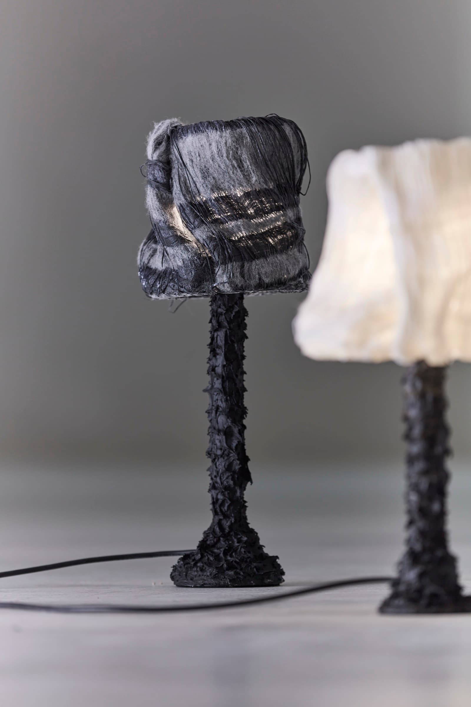 Kaseigan Kasei Hokage — context